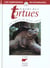 Guide des tortues