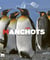 Les manchots