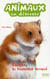 Animaux en detresse - casper, le hamster trouvé