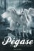 Pegase, tome 01 - pegase et la flamme de l'olympe
