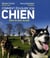Comment éduquer son chien dans le sens du poil