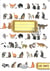 Mon carnet de notes - les chats