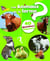 40 questions/réponses : les animaux de la ferme
