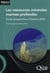 Les ressources minérales marines profondes - étude prospective à l'horizon 2030
