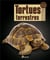 Tortues terrestres