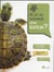 Et si on achetait une tortue ?