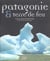 Patagonie et terre de feu