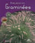 Graminées