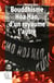 Bouddhisme Hòa Hao, d'un royaume l'autre : religion et révolution au Sud Viêt Nam (1935-1955)