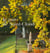 Le parc de Saint-Cloud