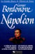 Les Grandes Heures de l'Histoire de France : Napoléon