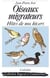 Oiseaux migrateurs - hôtes de nos hivers