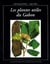 Plantes utiles au gabon