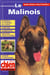 Le malinois varlet