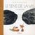 Le sens de la vis Tome 1 : la vacuité