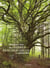 Dialogues avec des arbres remarquables en Limousin
