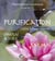 Purification - chakras & aura
