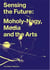 Sensing the future: moholy-nagy, media and the arts (new ed) /anglais