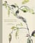 The Art of Slow Living: Embracing Nature's Pace