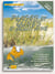 Plages et dunes d'aquitaine