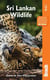 Sri Lankan wildlife (2e édition)