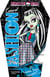 Carnet fashion monster high - frankie stein