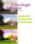 Revue d'ethnologie française n.4 : modernité à l'imparfait en Bretagne (édition 2012)