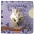 Pirouette la chouette