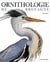 Ornithologie de bretagne