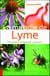 La maladie de Lyme - prévention, diagnostic, solutions