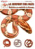 L'élevage du serpent des blés