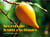 Secrets de fruits exotiques