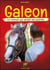 Galeon : le cheval qui aidait les autres