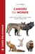 Canidés du monde - loups, chiens sauvages, renards, chacals, coyotes, et apparentés