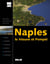 Naples, le Vésuve et Pompéi