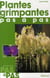 Plantes grimpantes pas à pas