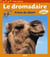 Le dromadaire, prince du désert