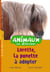 Animaux en détresse t.10 - Lorette, la ponette à adopter