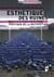 Esthétique des ruines - poïétique de la destruction