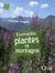 Étonnantes plantes de montagne