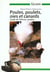 Poules poulets oies et canards