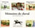 Mémoires de cheval