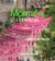 Montréal l'essentiel