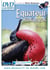 Equateur / Galapagos - La pureté originelle