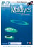 Maldives - Lune de miel avec l'océan