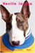Neville jacobs i'm marc's dog