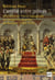 L'amitié entre princes - une alliance franco-espagnole au temps guerres de religion (1560-1570)