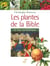 Les plantes de la bible