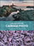 Les Secrets Du Cadrage Photo
