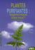 Plantes purifiantes : respirez mieux chez vous !